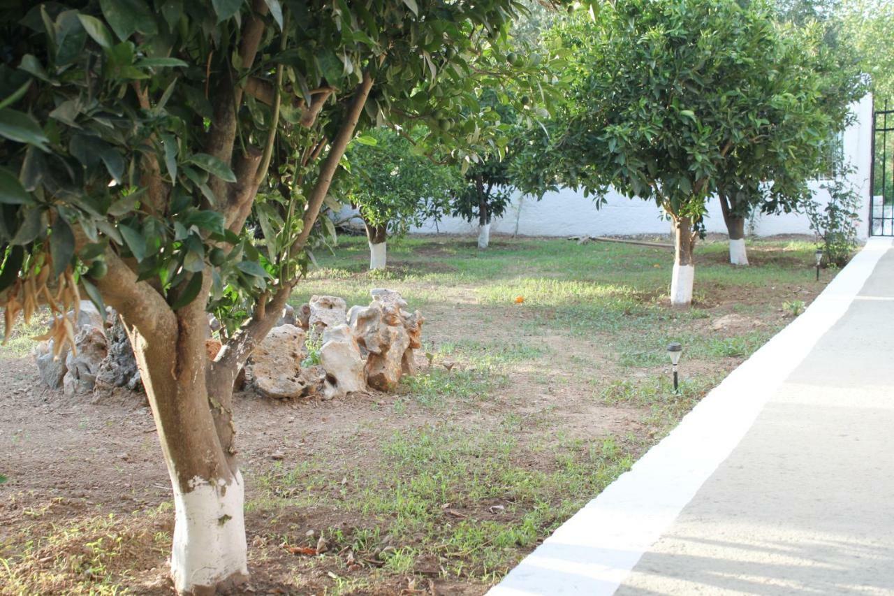 Elias Maro House Villa Avdou Dış mekan fotoğraf